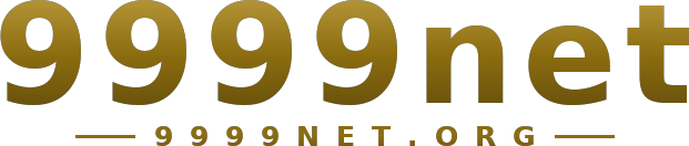 9999net logo